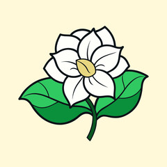 Beautiful White Flower with Green Leaves Botanical Illustration