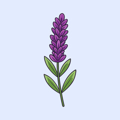 A Delightful Illustration of a Purple Lavender Flower with Green Leaves