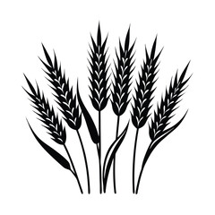 wheat seedlings on a white background vector art illustration