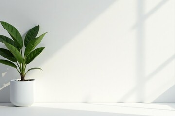 Clean minimalist aesthetic, pure white backdrop, photography, clean, minimal