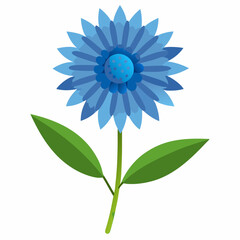 Bachelor’s Button Vector on White Background