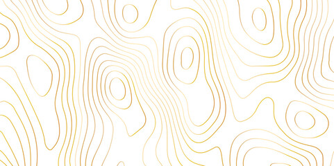 Abstract topographic map contour, white background and colorful wave lines pattern texture. geographic contour map grid backdrop paper texture. terrain path isolated on a background.	