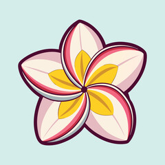 Beautiful Plumeria Flower Illustration Tropical Blossom Graphic Design Element