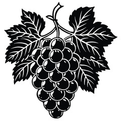 Obraz premium Black and White Grape Bunch Silhouette with Detailed Leaves in Vintage Style 