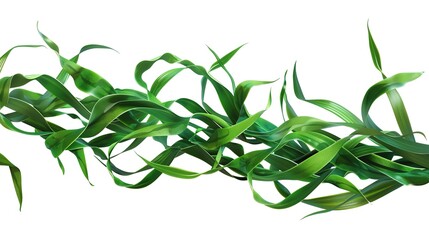 Obraz premium A set of green seaweed strips are isolated on a pure white background, created by Generative Ai. The long, slender strips of seaweed with their distinct green color are clearly presented, 