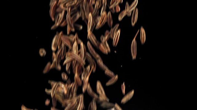 Cumin seeds fall down. Filmed on a high-speed camera at 1000 fps. High quality FullHD footage
