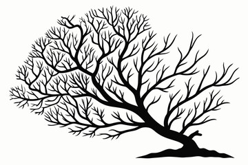 sea fan sihouette black vector