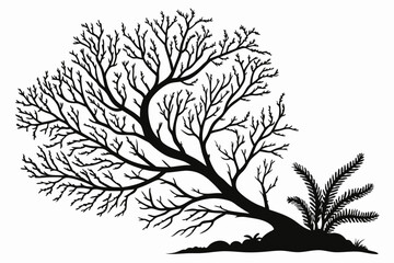 sea fan sihouette black vector