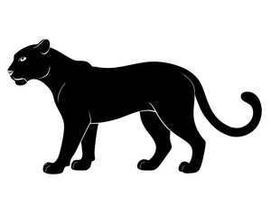Panther vector silhouette illustration isolated on white background