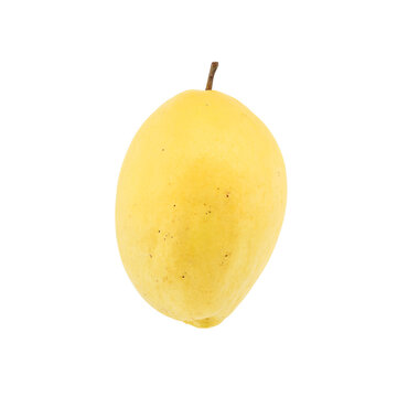 Isolated light yellow marang fruit tumbling downward