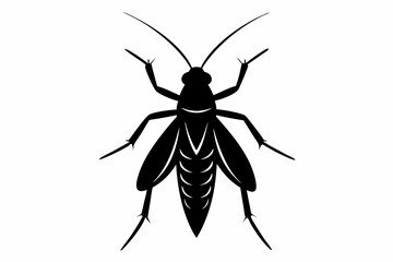 caddisfly sihouette black vector