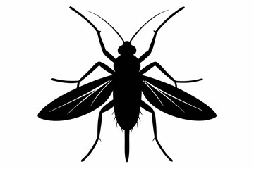 caddisfly sihouette black vector