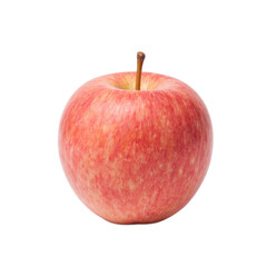 Isolated ripe rose apple falling delicately against a white background