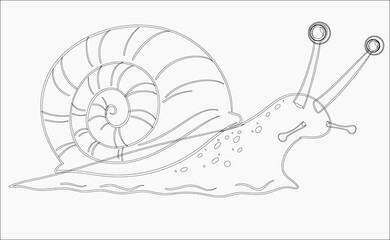 Fototapeta premium coloring page for baby