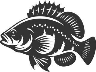 Vector silhouette of a crappie fish