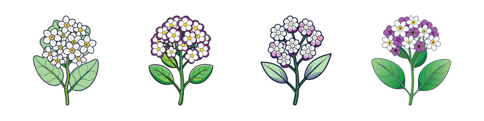 Four Stages of Flowering Plant with White and Purple Petals Illustration