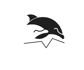 dolphin isolated on white background