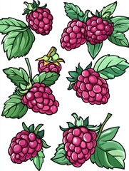 Cartoon Raspberry Illustration featuring Multiple Berries with Green Leaves on White Background in a Graphic Novel Style