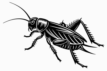 cricket sihouette black vector
