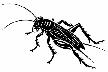 cricket sihouette black vector