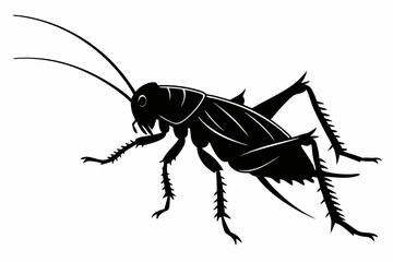 cricket sihouette black vector