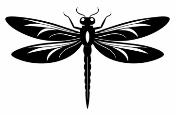 dragonfly sihouette black vector