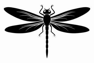 dragonfly sihouette black vector