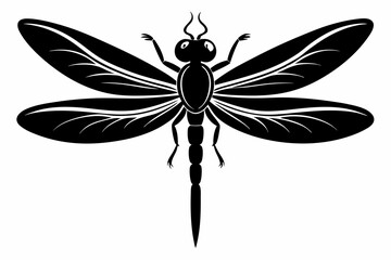 dragonfly sihouette black vector