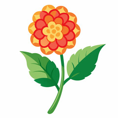 Lantana Vector Illustration on White Backgroun