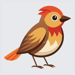 Warbler bird art illustration.
