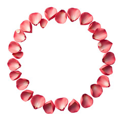 Obraz premium Beautiful circle of pink flower petals creating delicate frame., cut out