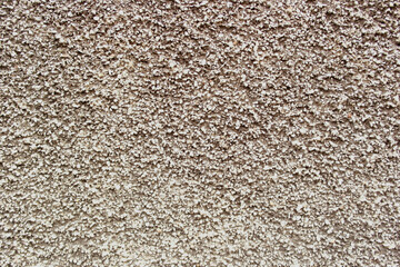 Texture of rough wall in relief