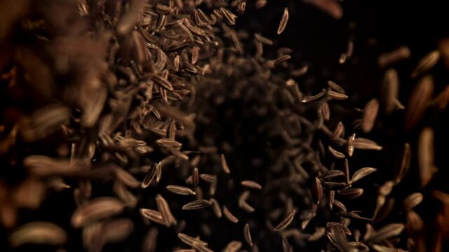 Cumin seeds fall down. Filmed on a high-speed camera at 1000 fps. High quality FullHD footage