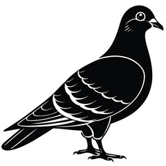 Pigeon Silhouette Vector – Black Bird Illustration, Urban Wildlife Art