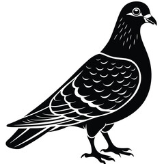 Pigeon Silhouette Vector – Black Bird Illustration, Urban Wildlife Art