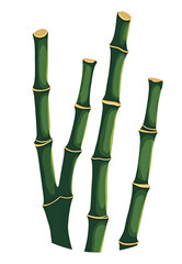 Fototapeta premium Green bamboo stands create serene and natural atmosphere, perfect for decoration., cut out