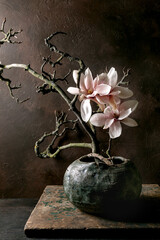 Elegant Magnolia Blooms In Ceramic Vase