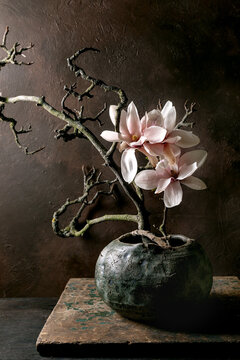 Elegant Magnolia Blooms In Ceramic Vase