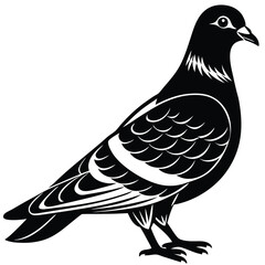 Pigeon Silhouette Vector – Black Bird Illustration, Urban Wildlife Art