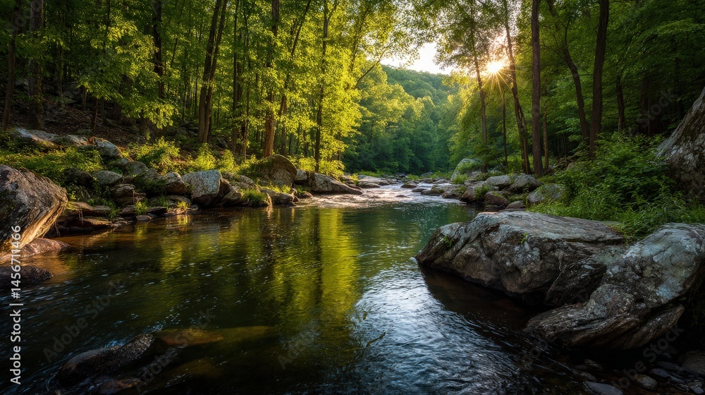 Poster a serene river flows through a lush green forest as sunlight filters through the trees and reflects 