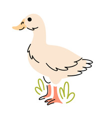 Duck farm bird poultry doodle
