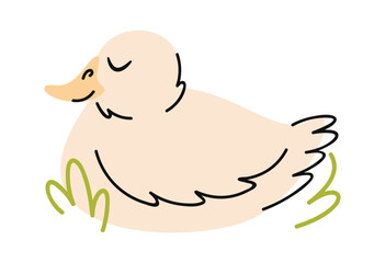 White duck sleeping hand drawn