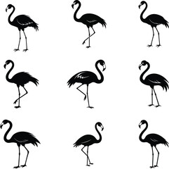 Obraz premium set of flamingo silhouette vector icon set, set of flamingo silhouettes, flamingos symbol icon set, flamingo silhouette vector illustration set on white background.