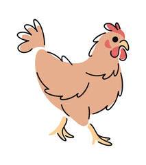 Chicken walking hand drawn doodle