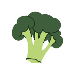 Stylized illustration of fresh green broccoli.