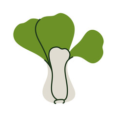 Stylized illustration of fresh bok choy.
