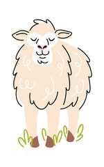 Sheep farm animal hand drawn