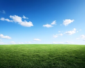 Fototapeta premium Serene Green Grass Field Under Blue Sky Landscape