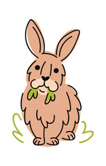 Rabbit farm animal hand drawn