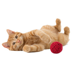 An orange tabby cat enjoys playtime by lying on its back, reaching out its paws, and interacting with a red yarn ball in a bright, cheerful space
